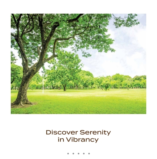 Pavitra Luxury Residences brochure